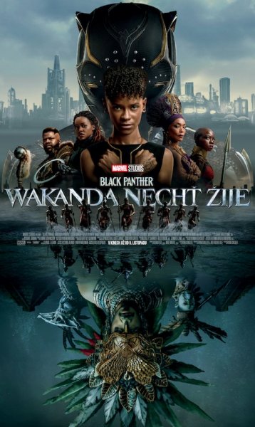 detail Black Panther: Wakanda nechť žije - DVD