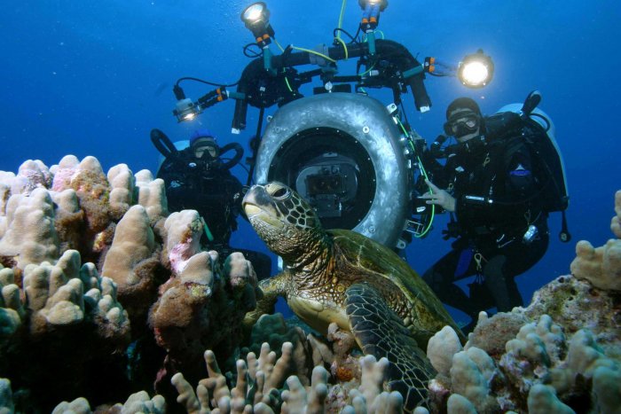 detail IMAX Život v moři - Blu-ray 3D (1BD)