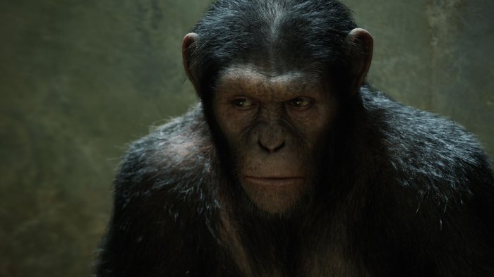 detail A majmok bolygója: Lázadás - Blu-ray
