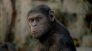 náhled A majmok bolygója: Lázadás - Blu-ray