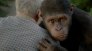 náhled A majmok bolygója: Lázadás - Blu-ray