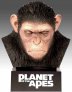 náhled A majmok bolygója: A Caesar kollekció (Cézár fejével) - Blu-ray