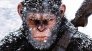 náhled A majmok bolygója: Háború - Blu-ray